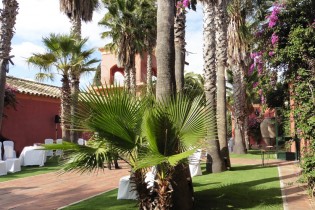 Montale_Senorio_jerez_coctel01